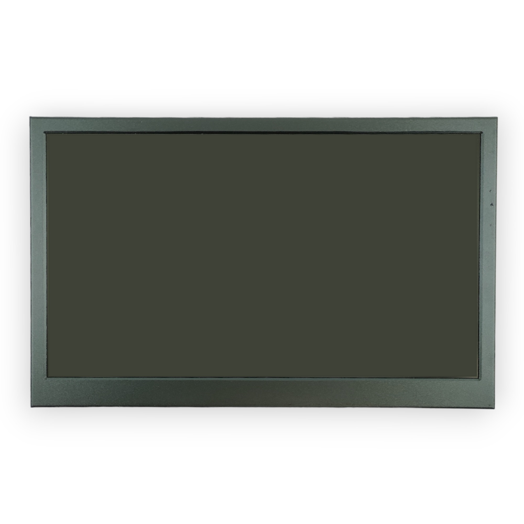 Монитор 15,6" DS156WM1S-81S1-PH