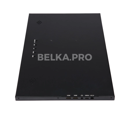 Монитор 17,3" DS173WM1-90S5-H
