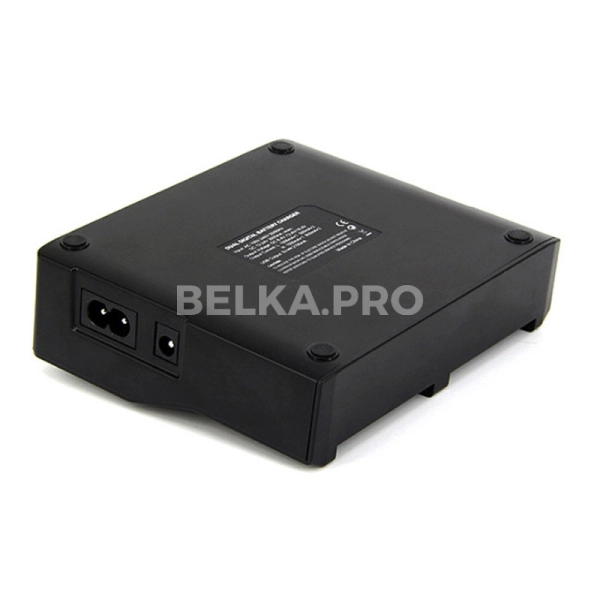 Зарядное устройство CS-F970X2-BD