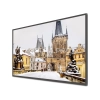 Монитор с плеером 55" HD5501